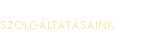 SZOLGLTATSAINK